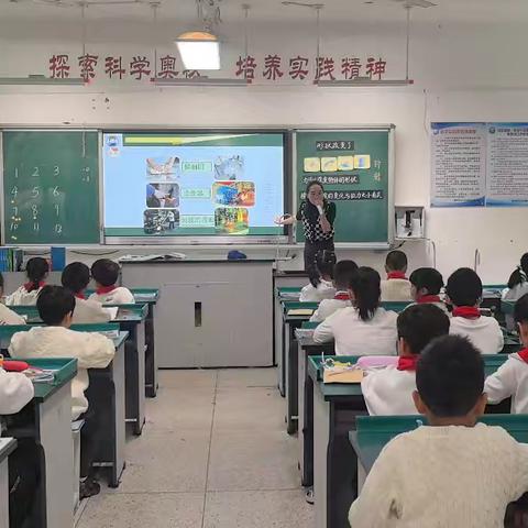 魔法闯关探力秘，巧手玩转形状变——仓山区金港湾实验学校小学部科学信息组集团教研