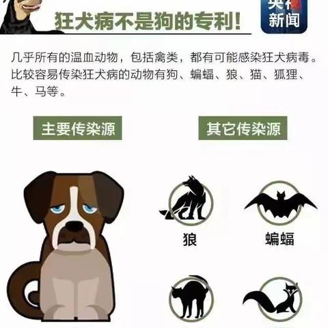 预防狂犬病 健康护成长--狂犬防控知识宣传