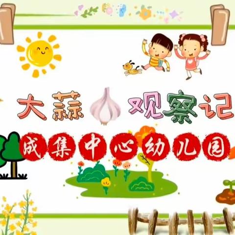 成集中心幼儿园大蒜观察记——“蒜”你有趣