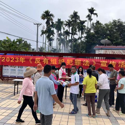 普法行动｜区民政局开展2023年《反有组织犯罪法》宣传活动