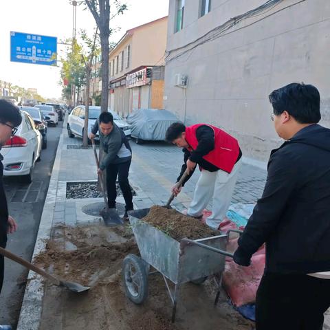 （10月24日） 人居环境提升 ﻿持续发力……