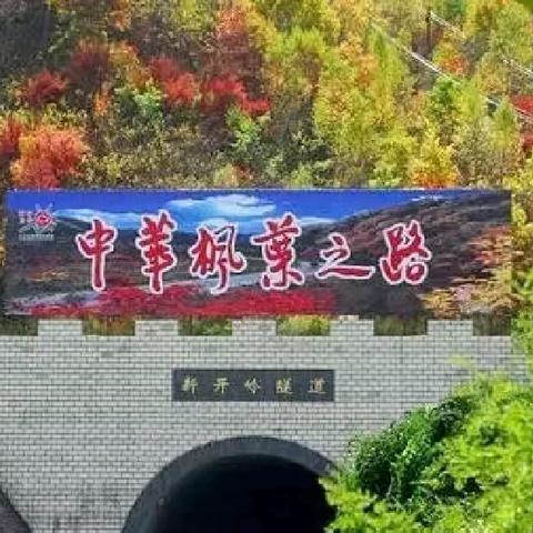 10月15号本溪洋湖沟赏枫叶59元