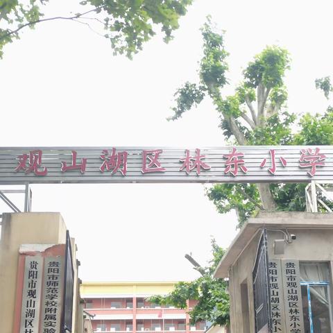 走进小学，心向未来——今朝幼儿园大班幼小衔接活动