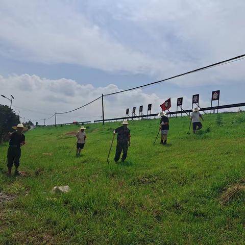 闻“汛”而来，齐心协力卫圩堤