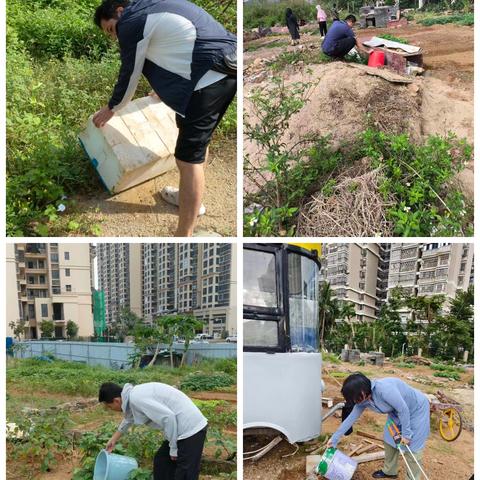 蓝天街道龙岐社区开展“清洁家园 防蚊灭蚊”爱国卫生百日专项行动同时开展周末大扫除