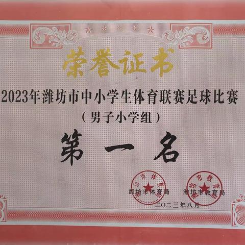 喜报|潍城区西关街办中心小学荣获2023年潍坊市中小学生足球联赛小学组冠军