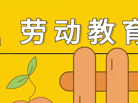 珠山区小学劳动教育教师教学大赛（新厂小学2023年12月5日）