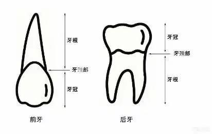 德美爱上城幼儿园——爱牙护牙 从小做起