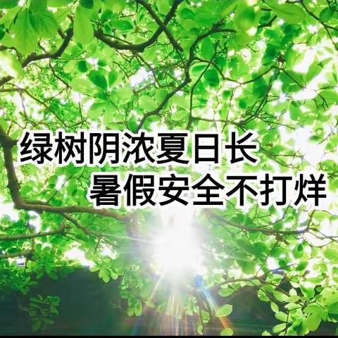 绿树阴浓夏日长，暑假安全不打烊         ——招远市大秦家学校小学部2023年暑假致家长一封信