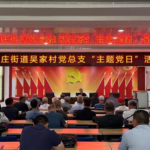吴家村主题党日活动：理论领航，实干筑村