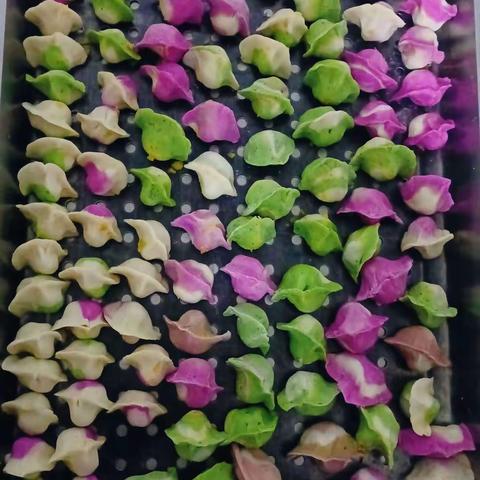 曙光幼儿园大班第十七周留念