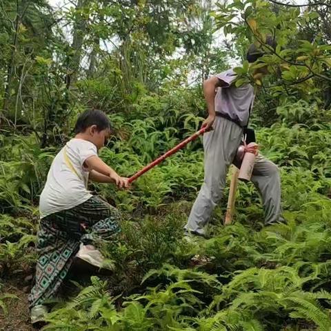 1小时体验课堂:攀绳十探险