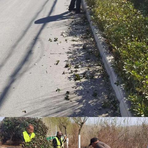 不负春日好时光  公路绿化养护忙