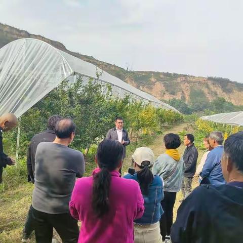 让果农满意是我们的工作方向‖园艺站举办石榴避雨设施栽培现场观摩会