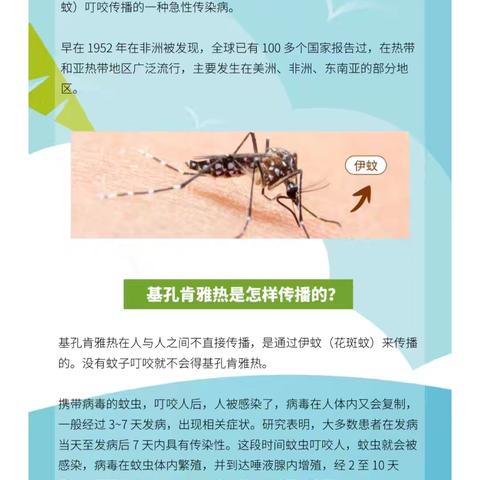 用户8375141的简篇