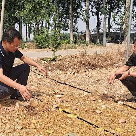 永城市市政府副市长徐永超 莅临酂城镇督导检查抗旱保苗及 卫生院安全生产工作