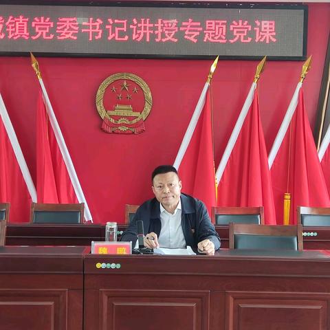 学党史、守党纪、立规矩、促发展酂城镇党委书记讲授专题党课
