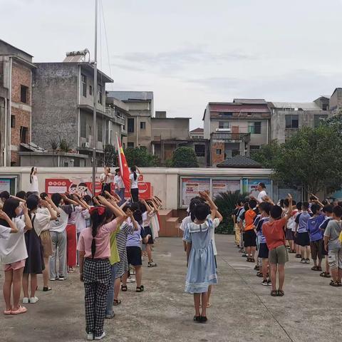 毛湾小学第二十周工作汇报