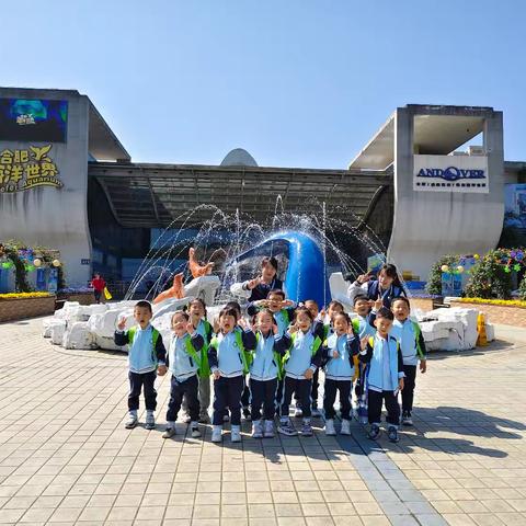 相约海洋馆,探索海洋世界 —合肥庐阳四里河路幼儿园