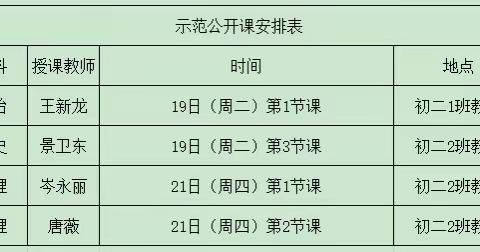 示范引领促成长 共思同研齐扬帆 ——二中优秀示范公开课（物政史地生）