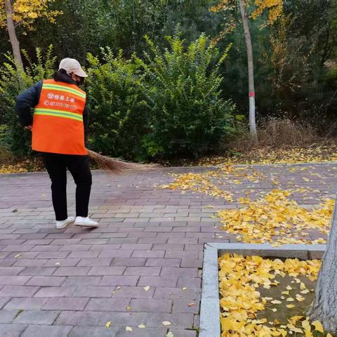深秋时节落叶飘 环卫工人清扫忙