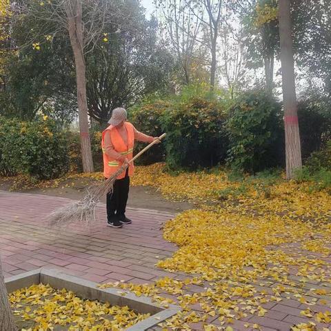 落叶纷飞清扫忙 营造城市洁净美
