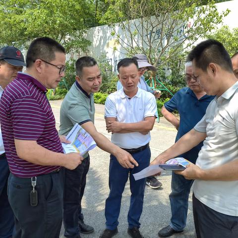 海南国际会展中心片区周边环境综合整治项目园林部分移交工作进展