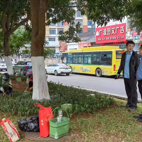 棕榈股份关于海口市道路绿化养护调查问题的整改巡查与现场指导情况汇报