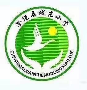 “问道海角天涯，寻迹旷达东坡”——澄迈县城东小学秋季研学旅行活动