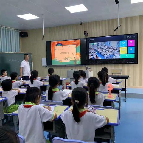 小课题研究课《动物的故事》