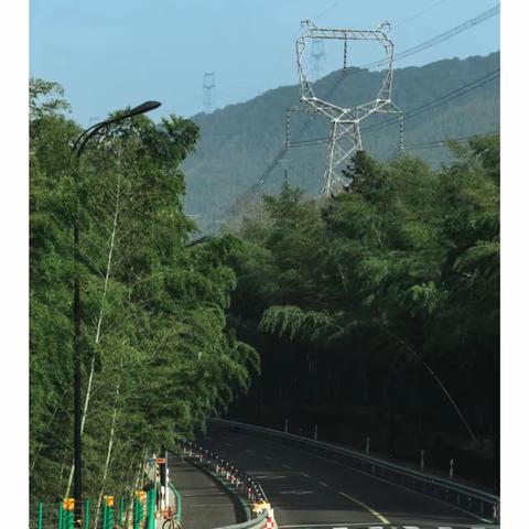 桃花源头有人家，竹林深处觅知音——竹韵长塘