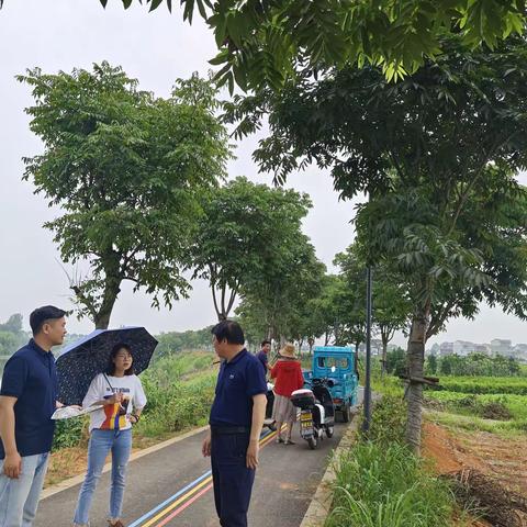 全力推进耕地功能恢复图斑整改工作