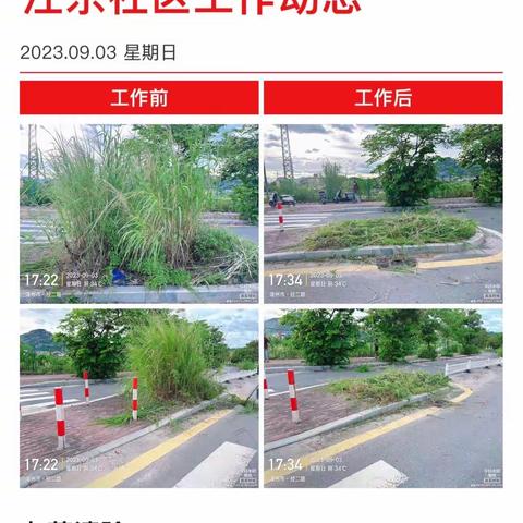 “清理道路视线盲区，助力创城我先行”——江东社区组织开展环境整治志愿服务活动