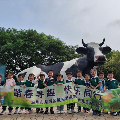 踏春寻趣，快乐同行一深圳市龙岗区坂田街道御珑幼儿园中一班春游记