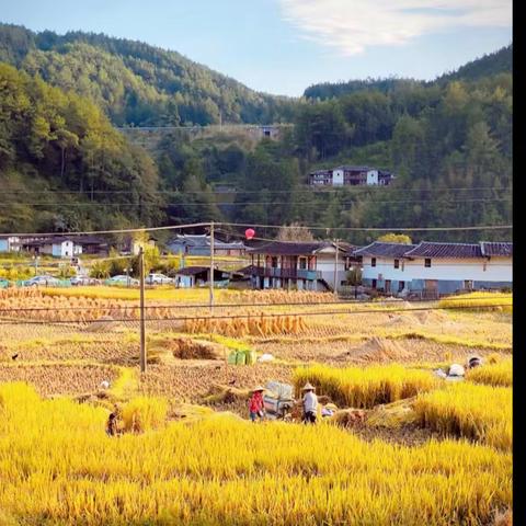 遇见秋天，遇见你——遵道学校幼儿园小一班第二周主题活动