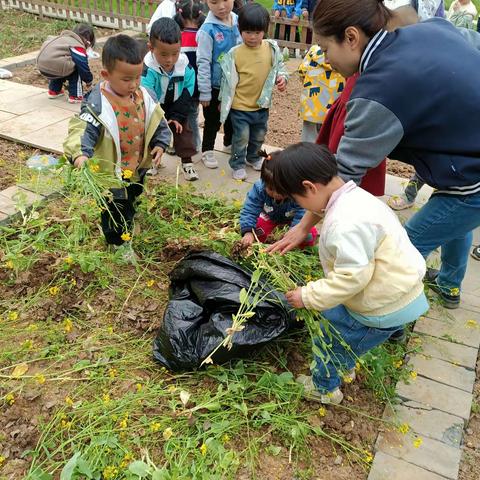 “童心童趣，乐享时光”——周至县广济镇中心幼儿园小三班一周生活回忆录