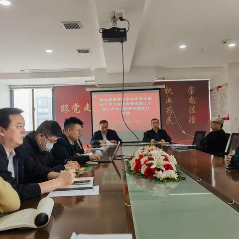 湖北博智律师事务所党支部深入学习贯彻党的二十届三中全会精神