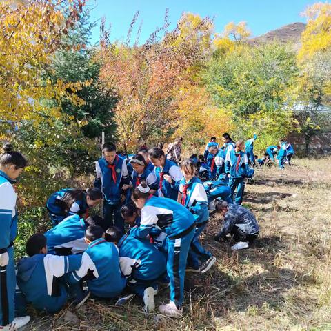 土豆奇遇记 ——小渠子中学丰收节活动