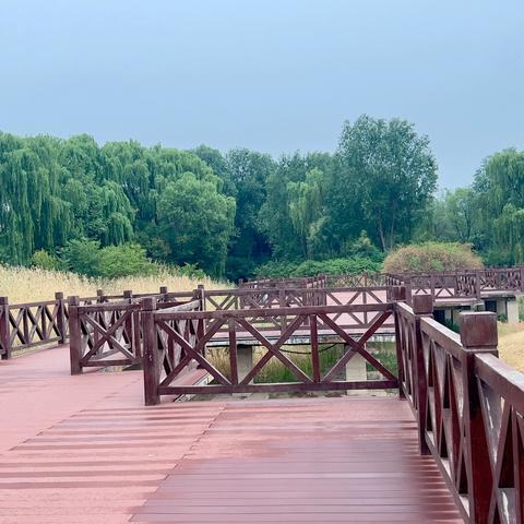 长清区广泛开展夏季 灭蚊蝇活动