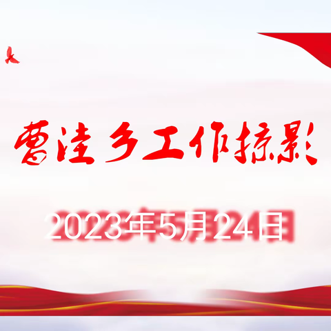 【锦绣曹洼】2023年5月24日工作动态