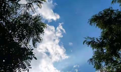 【赵亚静】石哲镇到村工作大学生工作动态