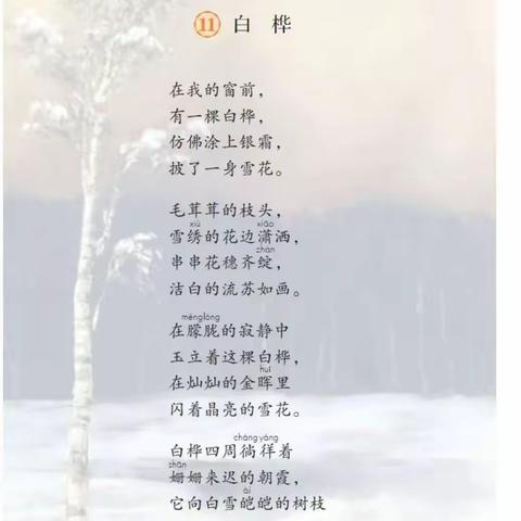 【小小朗读者】陈奕帆《白桦》