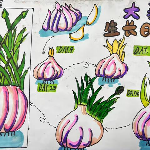 快乐寒假 缤纷生活 ——岩村路小学三年级寒假特色作业展示