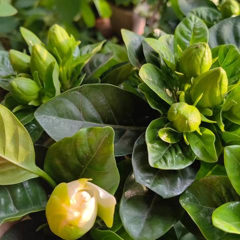 当绘本遇上奇妙想象