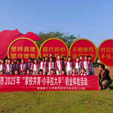 思茅第三小学教育集团凤凰校区239班2025年“家校共育、小手拉大手”环保小卫士职业体验活动