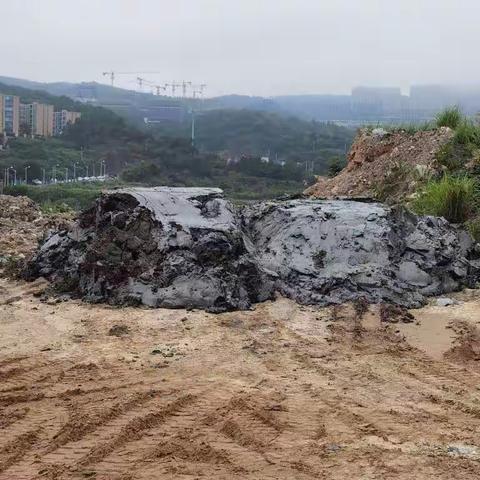 “零容忍”“出重拳”，依法严厉打击建渣领域违法行为