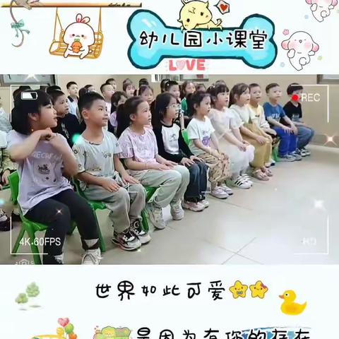 桂新幼儿园学前三班第五周精彩回顾