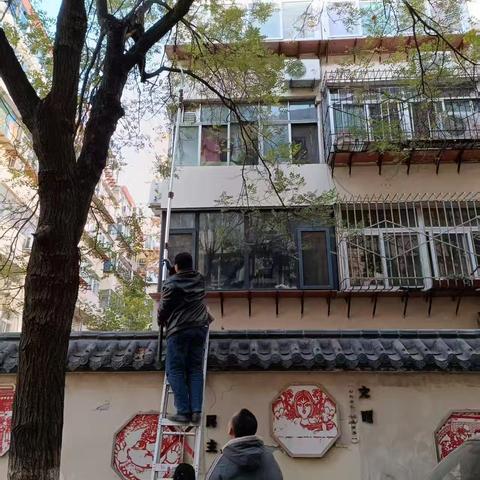 【治荟明湖·聚慧县东】树木枯枝存隐患，部门联动消隐患— —大明湖街道县东巷社区