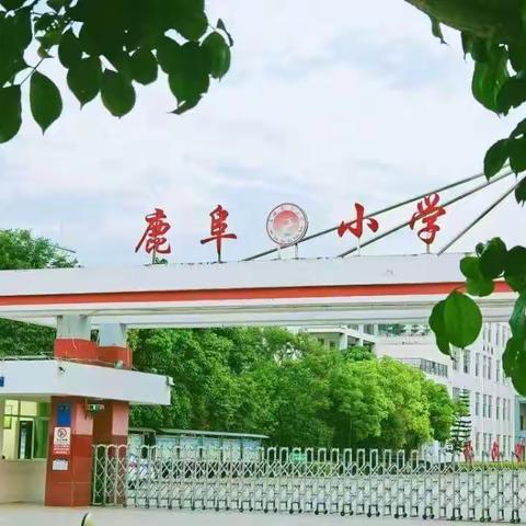 “书香致远  用心成长”——鹿阜小学三年级组读书分享会