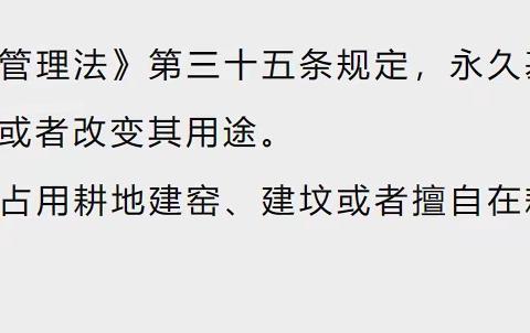 【皎平渡镇】严守耕地红线 依法拆除违建